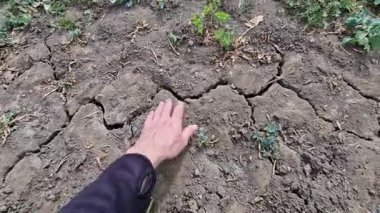 Traktör ve kamyonlar gibi ağır makineler toprak yapısına zarar verir. Kuruduğunda derin çatlaklar oluşur ve su buharlaşır. Üreticiler organik gübrelerle gübrelemek zorundalar..