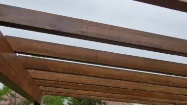 Ahşap pergola ve pleksiglass çatılı teras. Sarmaşıklar geriliyor, kirişlerin altında sürünüyorlar. Bahçe ya da park. Oturan restoran, kırsal bölge Fransa, kiriş, ıslak yağmurlu gün, damlalar