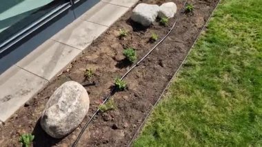 Süslü çiçek tarhı. Gri granitten yapılmış taşlar, şehir bahçesinde saman taşları, çayırlar, süs otları, havuzun kenarında çimenlik çakıl taşları.