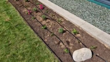 Süslü çiçek tarhı. Gri granitten yapılmış taşlar, şehir bahçesinde saman taşları, çayırlar, süs otları, havuzun kenarında çimenlik çakıl taşları.