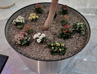 Paskalya için renkli mevsimlik çiçeklerle süsleme. Silindirik paslanmaz çelik saksı, oyun salonunun yanındaki bir alışveriş merkezinin lobisinde..