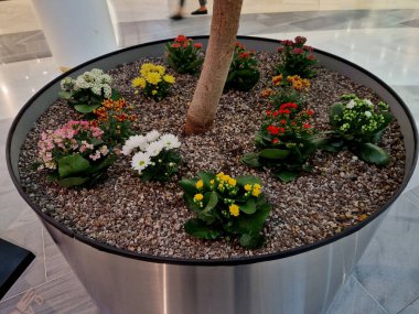 Paskalya için renkli mevsimlik çiçeklerle süsleme. Silindirik paslanmaz çelik saksı, oyun salonunun yanındaki bir alışveriş merkezinin lobisinde..