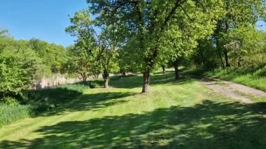 Elma ve armut ağaçlarıyla bir meyve bahçesinde yürümek. Çimler biçildi ve sizi gölgede dinlenmeye davet ediyor. Kuru ağaçları kesmeyin, her ne kadar meyvelerini verseler de. ekolojik değer