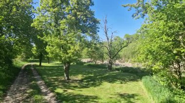 Elma ve armut ağaçlarıyla bir meyve bahçesinde yürümek. Çimler biçildi ve sizi gölgede dinlenmeye davet ediyor. Kuru ağaçları kesmeyin, her ne kadar meyvelerini verseler de. ekolojik değer