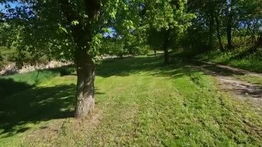 Elma ve armut ağaçlarıyla bir meyve bahçesinde yürümek. Çimler biçildi ve sizi gölgede dinlenmeye davet ediyor. Kuru ağaçları kesmeyin, her ne kadar meyvelerini verseler de. ekolojik değer