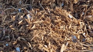 Mobilyalar paramparça oldu. Kontrplak çarşaflar bir yakma fırınında ısıtmak için kullanılacak. bina yıkımı