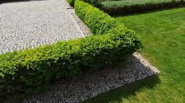 Boxwood çitlerinden yapılmış tarihi bir bahçede kesilmiş çiçek tarhı kareleri. Kalenin avlusu kaldırım taşı patika yolu boyunca donmuş buz sıraları, kar yeşil çimenler sarmaşık, sarmaşık, sarmaşık, sarmaşık, üst