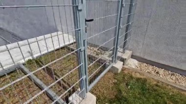 Ekonomik ağ ve galvanize metal borulardan ormancılık çitleri inşa ediliyor. Ekime alanlarını geyik, geyik, yaban domuzu, tavşan, geyik ısırmaktan korur. Yeni ekilmiş orman bio-koridoru. 