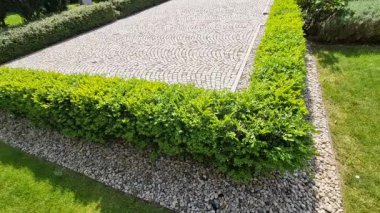 Boxwood çitlerinden yapılmış tarihi bir bahçede kesilmiş çiçek tarhı kareleri. Kalenin avlusu kaldırım taşı patika yolu boyunca donmuş buz sıraları, kar yeşil çimenler sarmaşık, sarmaşık, sarmaşık, sarmaşık, üst