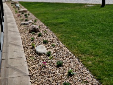 Uzun ömürlü çiçek tarhı, gri granitten yapılmış taşlar, şehir bahçesinde saman taşları, çayır, süs otları, havuzun kenarında çimenlik çakıl taşları.