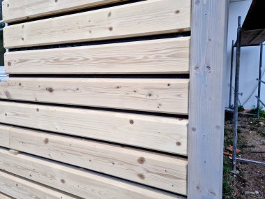 Meyer leylağı cüce türü olarak sınıflandırılır ve cüce Palibin leylağı olarak sınıflandırılır. Narin, boru şeklinde ve lavanta pembesi renginde çok küçük çiçekleri var. Büyüyebilirsin. 