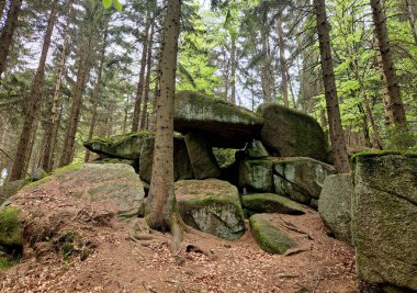 Taş kaya, ladin ormanındaki buzul süreçlerinin düz ve titrek bir kalıntısı. Sallanan taş, yatay pozisyondaki bir dolmen ya da menhir 'e benziyor. En eski doğal salıncak