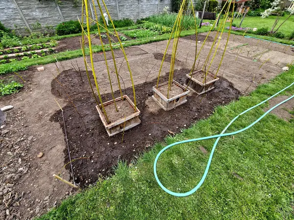 Hasırdan yapılmış bir söğüt tüneli sürünen bitkiler için bir destektir. Salatalık ve kavun gibi sebzeler, kalıba yenik düşmeyecekleri bir kafese asılabilirler.