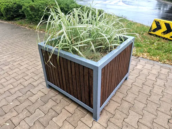 Meydanın yanındaki süs saksıları. Süslü çiçekli otlar. Tahta malzemeden yapılma saksı şeklindeki saksı. Masalı kamp tezgahı