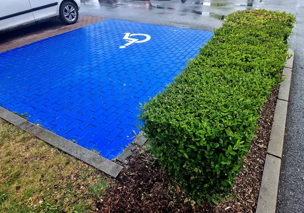 Sadece bu kişileri taşıyan araçlar ya da tekerlekli sandalye kullanıcılarına tahsis edilmiş park yeri olanlar için tasarlanmıştır.