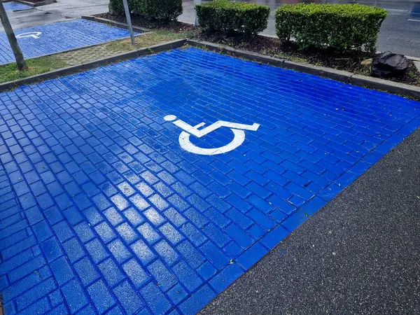 Sadece bu kişileri taşıyan araçlar ya da tekerlekli sandalye kullanıcılarına tahsis edilmiş park yeri olanlar için tasarlanmıştır.