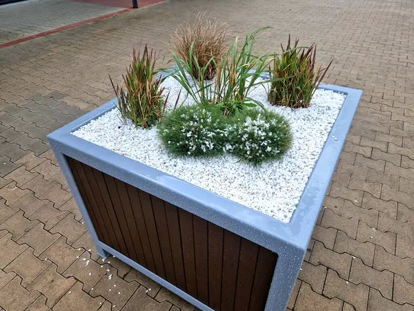 Meydanın yanındaki süs saksıları. Süslü çiçekli otlar. Tahta malzemeden yapılma saksı şeklindeki saksı. Masalı kamp tezgahı