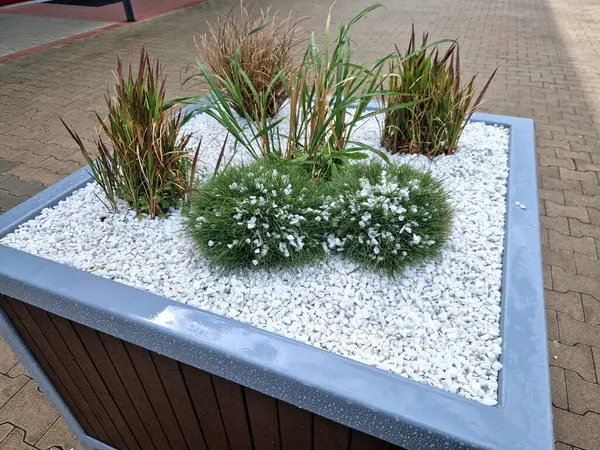 Meydanın yanındaki süs saksıları. Süslü çiçekli otlar. Tahta malzemeden yapılma saksı şeklindeki saksı. Masalı kamp tezgahı