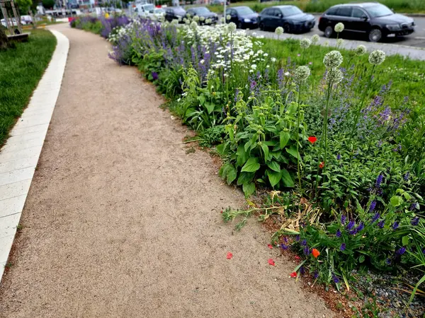 Yollar ve şeritler arasında bölünmüş bir adası olan yayalar ve bisikletçiler için gezinti alanı, asfalta boya püskürtülmüş yol işaretleri. Tekerlek, ok ve üçgen. Lüks kaplıca, harman, ahşap bank