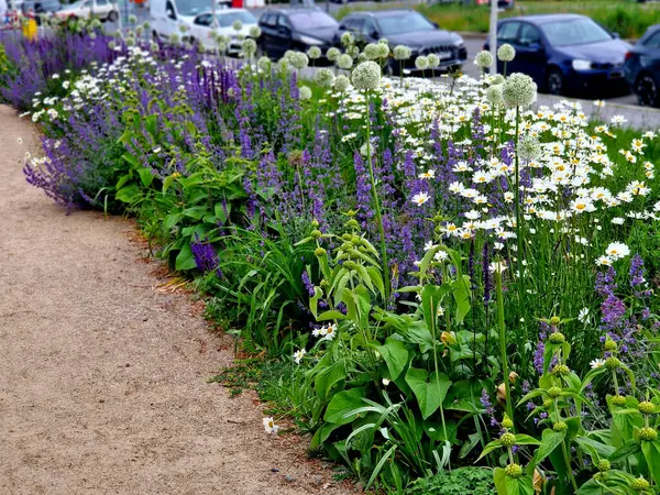 Yollar ve şeritler arasında bölünmüş bir adası olan yayalar ve bisikletçiler için gezinti alanı, asfalta boya püskürtülmüş yol işaretleri. Tekerlek, ok ve üçgen. Lüks kaplıca, harman, ahşap bank