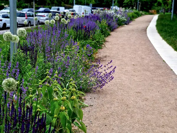 Yollar ve şeritler arasında bölünmüş bir adası olan yayalar ve bisikletçiler için gezinti alanı, asfalta boya püskürtülmüş yol işaretleri. Tekerlek, ok ve üçgen. Lüks kaplıca, harman, ahşap bank