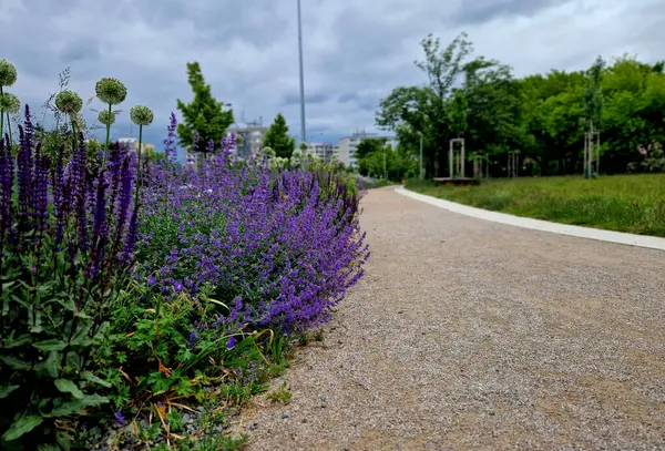 Yollar ve şeritler arasında bölünmüş bir adası olan yayalar ve bisikletçiler için gezinti alanı, asfalta boya püskürtülmüş yol işaretleri. Tekerlek, ok ve üçgen. Lüks kaplıca, harman, ahşap bank