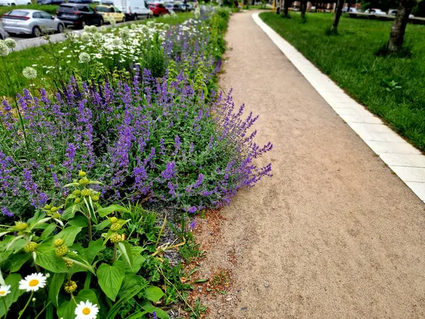 Yollar ve şeritler arasında bölünmüş bir adası olan yayalar ve bisikletçiler için gezinti alanı, asfalta boya püskürtülmüş yol işaretleri. Tekerlek, ok ve üçgen. Lüks kaplıca, harman, ahşap bank
