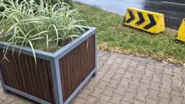 Meydanın yanındaki süs saksıları. Süslü çiçekli otlar. Tahta malzemeden yapılma saksı şeklindeki saksı. Masalı kamp tezgahı