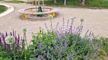 Yollar ve şeritler arasında bölünmüş bir adası olan yayalar ve bisikletçiler için gezinti alanı, asfalta boya püskürtülmüş yol işaretleri. Tekerlek, ok ve üçgen. Lüks kaplıca, harman, ahşap bank