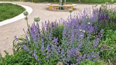 Yollar ve şeritler arasında bölünmüş bir adası olan yayalar ve bisikletçiler için gezinti alanı, asfalta boya püskürtülmüş yol işaretleri. Tekerlek, ok ve üçgen. Lüks kaplıca, harman, ahşap bank