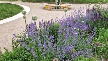 Yollar ve şeritler arasında bölünmüş bir adası olan yayalar ve bisikletçiler için gezinti alanı, asfalta boya püskürtülmüş yol işaretleri. Tekerlek, ok ve üçgen. Lüks kaplıca, harman, ahşap bank