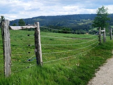 Cırcırlı tel gerici. Tellerde yaylar olan çiti çeker. Sığır ve atlar için modern geleneksel çitler. Akasya uzun süre dayanır ve çürümez.