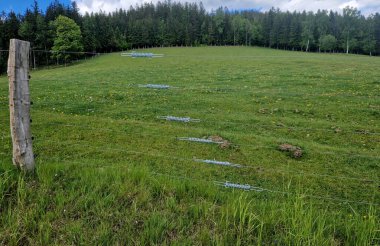 Cırcırlı tel gerici. Tellerde yaylar olan çiti çeker. Sığır ve atlar için modern geleneksel çitler. Akasya uzun süre dayanır ve çürümez.