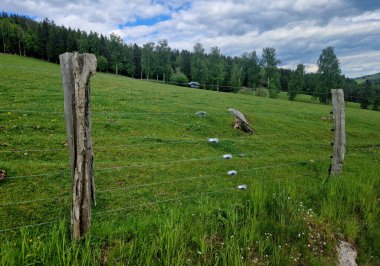 Cırcırlı tel gerici. Tellerde yaylar olan çiti çeker. Sığır ve atlar için modern geleneksel çitler. Akasya uzun süre dayanır ve çürümez.