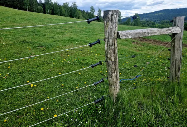Cırcırlı tel gerici. Tellerde yaylar olan çiti çeker. Sığır ve atlar için modern geleneksel çitler. Akasya uzun süre dayanır ve çürümez.