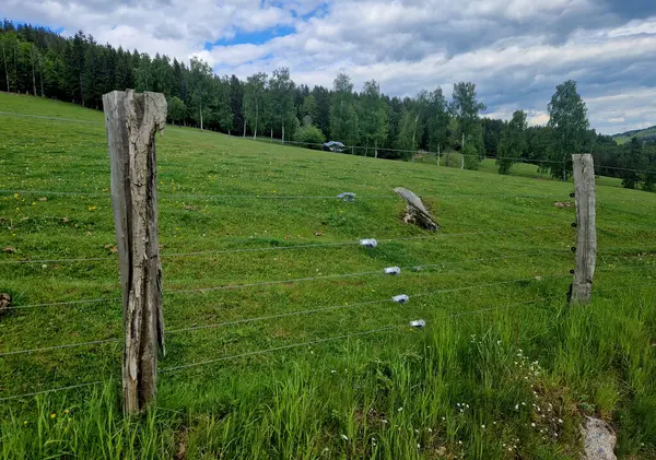 Cırcırlı tel gerici. Tellerde yaylar olan çiti çeker. Sığır ve atlar için modern geleneksel çitler. Akasya uzun süre dayanır ve çürümez.