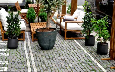 Restoran mobilyaları, genellikle arka bahçede dinlenmek için kullanılan meşe ağacından yapılmış kafe koltuğu. Yastıklı sandalyeler ve masalar