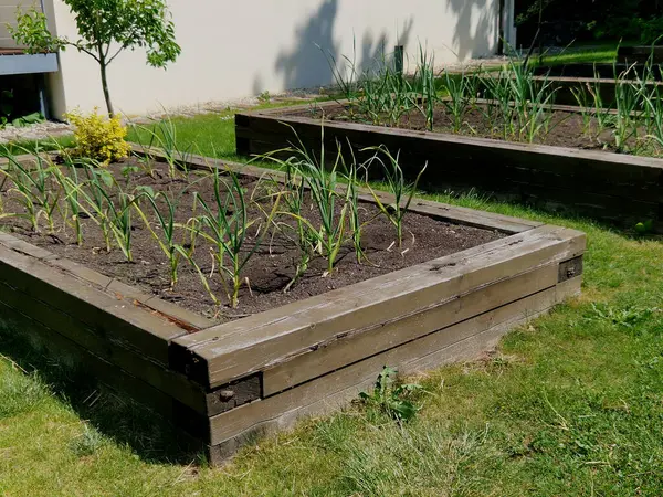 Manastır bahçesindeki şatoda ahşap çerçeveli ot yatakları. Otlarla dolu dikdörtgen çiçek tarhı ve parlak renkli park yolları. Kesilmiş boxwood çitlerini korudum. Eğitim, okul, bahçıvanlık.