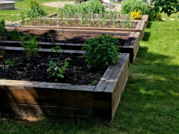 Manastır bahçesindeki şatoda ahşap çerçeveli ot yatakları. Otlarla dolu dikdörtgen çiçek tarhı ve parlak renkli park yolları. Kesilmiş boxwood çitlerini korudum. Eğitim, okul, bahçıvanlık.