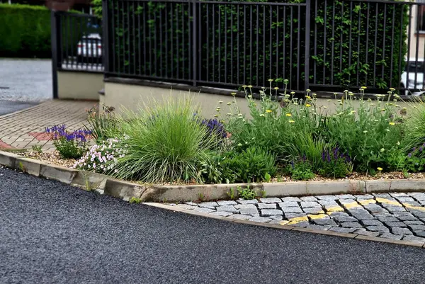 Yarrow, açık lavanta pembesi şeklinde çiçek açan çok sayıda leylak pembesidir. Yaklaşık 60 cm yüksekliğiyle, uzun ömürlü bir çiçek tarhının ortasına sığar.