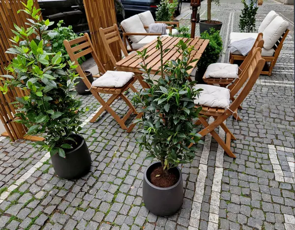 Restoran mobilyaları, genellikle arka bahçede dinlenmek için kullanılan meşe ağacından yapılmış kafe koltuğu. Yastıklı sandalyeler ve masalar