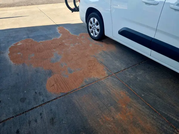 Sorbent maddesi benzin istasyonları için hayati bir güvenlik unsurudur, dökülen yakıt ve petrolü hızlı ve etkili bir şekilde emmek için tasarlanmıştır, tehlikeli kaymalar ve sızıntıları önler.. 