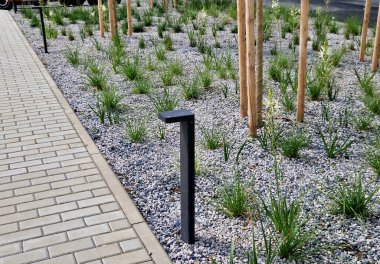 grass bed on the promenade. on the edge of the flower bed are pillar lamps with a beveled top. striped pavement on the promenade. grasses have dry stems like hair