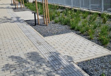 grass bed on the promenade. on the edge of the flower bed are pillar lamps with a beveled top. striped pavement on the promenade. grasses have dry stems like hair