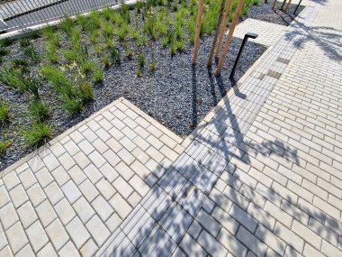 grass bed on the promenade. on the edge of the flower bed are pillar lamps with a beveled top. striped pavement on the promenade. grasses have dry stems like hair