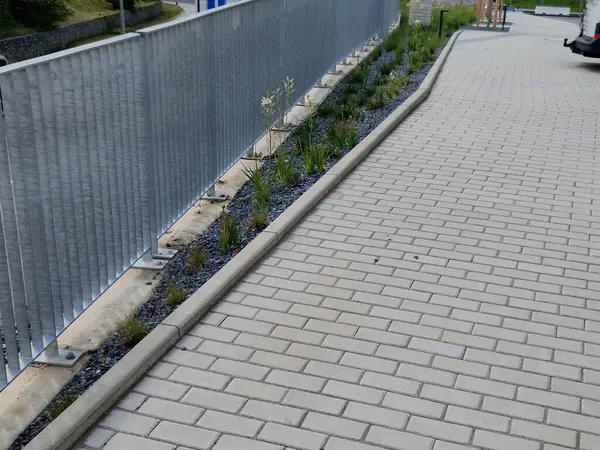 Çok az bilinirler, 1 metre yüksekliğindeki çiçekleri oluşturan küçük yıldızlarla aşağıdan yavaş yavaş çiçek açarlar. Tamamen gösterişsizler. Karışık, uzun ömürlü yataklara mükemmel bir şekilde uyuyorlar.