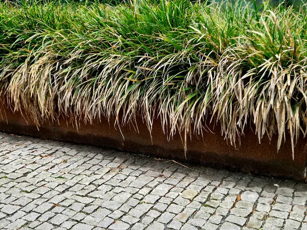 Çiçek tarlası paslı metal bir yaprak dizaynı ile sınırlıdır. Çiçek tarlasında uzun ömürlüler ve çimenler çiçek açar. İki çiçek tarhı arasında taş küpler. Bunlar banklar.