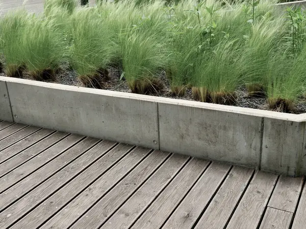 stipa capilata çiçek tarhlı çakıl taşları beton yükseltilmiş küp kenarları 6 cm sıra halinde kaldırım yüzeyi gri granit arka plan fayansları