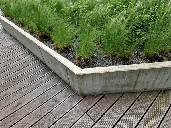stipa capilata çiçek tarhlı çakıl taşları beton yükseltilmiş küp kenarları 6 cm sıra halinde kaldırım yüzeyi gri granit arka plan fayansları