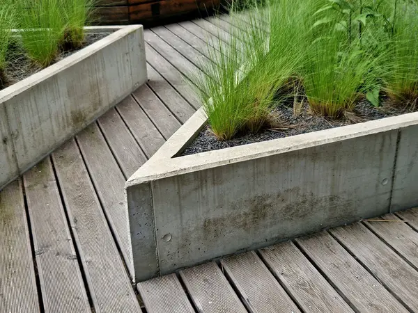 stipa capilata çiçek tarhlı çakıl taşları beton yükseltilmiş küp kenarları 6 cm sıra halinde kaldırım yüzeyi gri granit arka plan fayansları